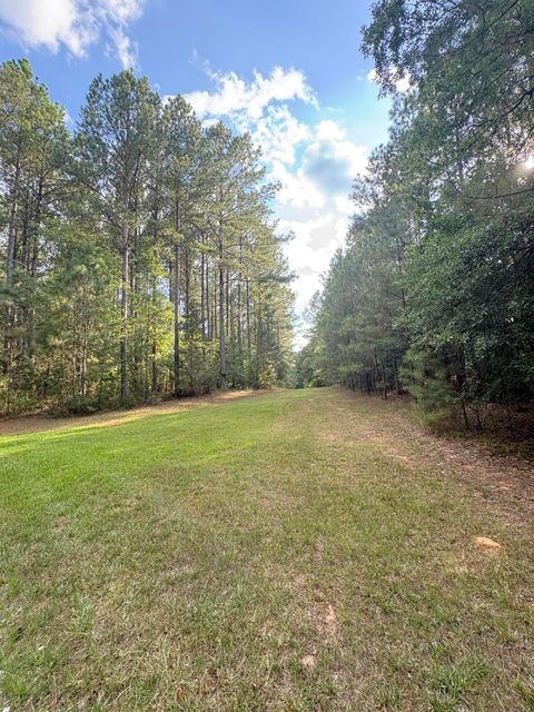 Tiny photo for 395 New Cut Road, Edgefield, SC 29824 (MLS # 218549)