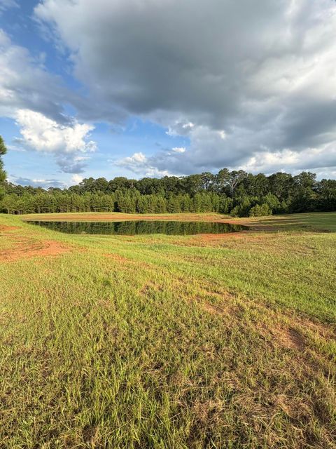 Tiny photo for 395 New Cut Road, Edgefield, SC 29824 (MLS # 218549)