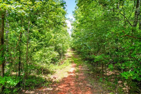 Tiny photo for 395 New Cut Road, Edgefield, SC 29824 (MLS # 218549)