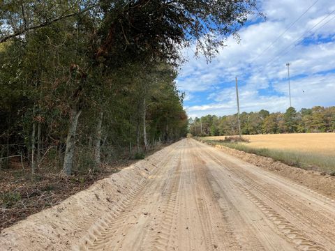 Unimproved Land in Wagener SC 0-L5 Redbank St.jpg