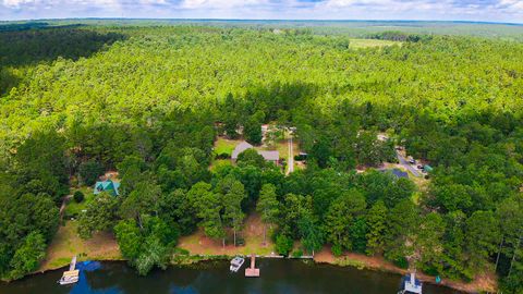 Tiny photo for 853 Edisto Lake Road, Wagener, SC 29164 (MLS # 215516)