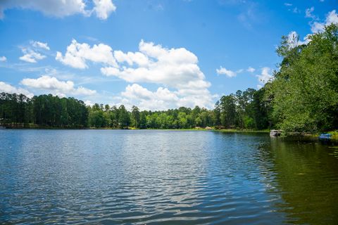 Tiny photo for 853 Edisto Lake Road, Wagener, SC 29164 (MLS # 215516)