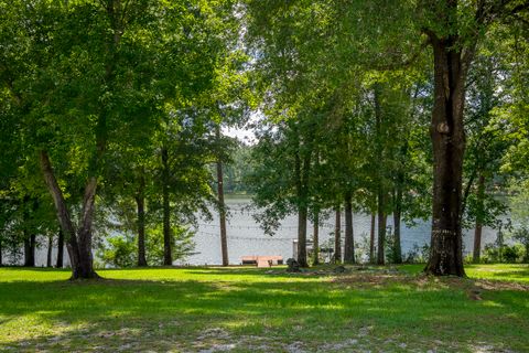 Tiny photo for 853 Edisto Lake Road, Wagener, SC 29164 (MLS # 215516)
