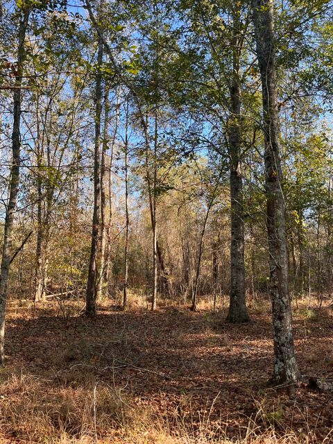 Photo of 000 Trecer Road, Cope, SC 29038 (MLS # 220948)