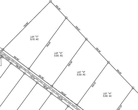 Unimproved Land in Salley SC Lot 3 - Warbonnet Road.jpg