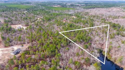 Unimproved Land in Wagener SC 0 Big Branch Road.jpg