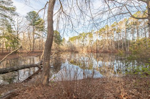 Tiny photo for 4061 Smokey Road, Hephzibah, GA 30815 (MLS # 221080)