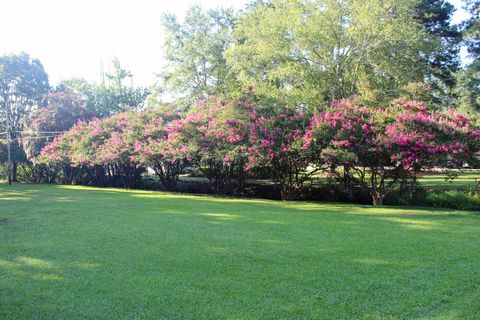 Tiny photo for 14 Robin Road, Barnwell, SC 29812 (MLS # 215593)