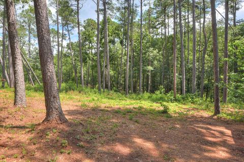 Tiny photo for 189 Cheltenham Drive, Aiken, SC 29803 (MLS # 218143)