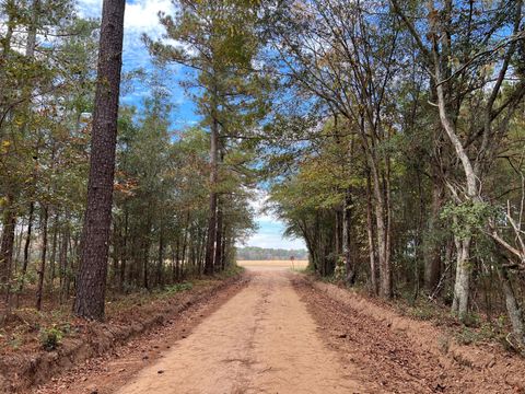 Unimproved Land in Wagener SC 0-W5 Wendell Ln.jpg