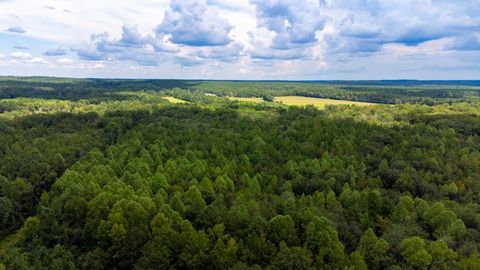 Tiny photo for 220 Destiny Lane, Aiken, SC 29805 (MLS # 220039)