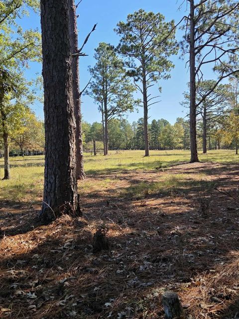 Tiny photo for 30 Old Mulberry Farms Trail Road, Wagener, SC 29164 (MLS # 220293)