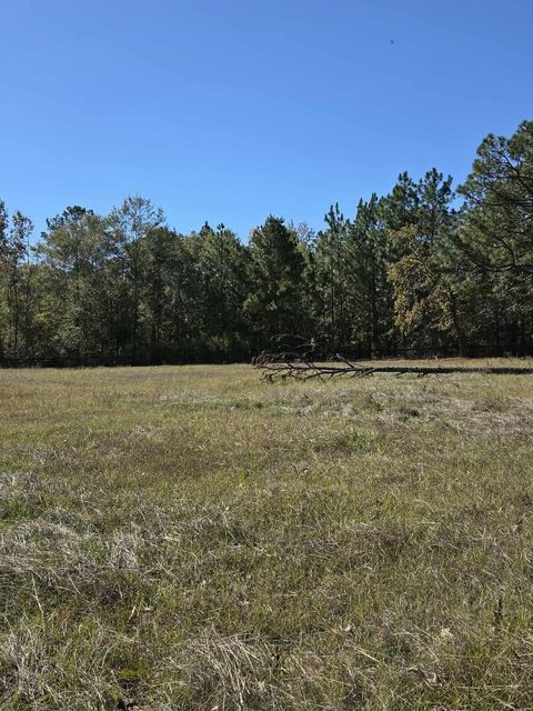 Tiny photo for 30 Old Mulberry Farms Trail Road, Wagener, SC 29164 (MLS # 220293)