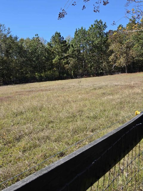 Tiny photo for 30 Old Mulberry Farms Trail Road, Wagener, SC 29164 (MLS # 220293)