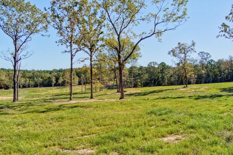 Tiny photo for 793 Flowing Well Road, Wagener, SC 29164 (MLS # 220034)