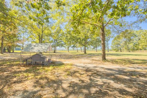 Tiny photo for 793 Flowing Well Road, Wagener, SC 29164 (MLS # 220034)