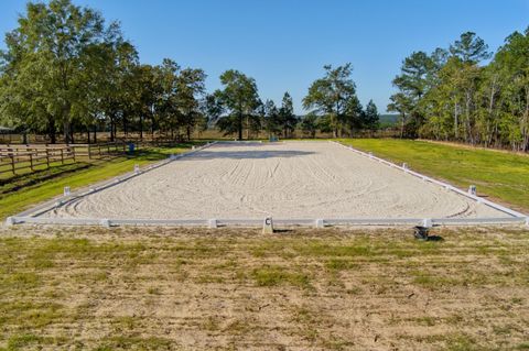 Tiny photo for 793 Flowing Well Road, Wagener, SC 29164 (MLS # 220034)