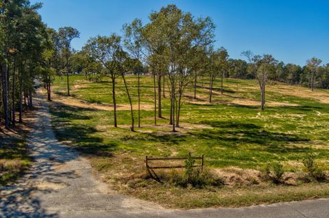 Tiny photo for 793 Flowing Well Road, Wagener, SC 29164 (MLS # 220034)