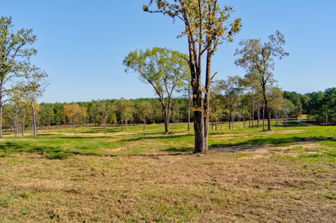 Tiny photo for 793 Flowing Well Road, Wagener, SC 29164 (MLS # 220034)