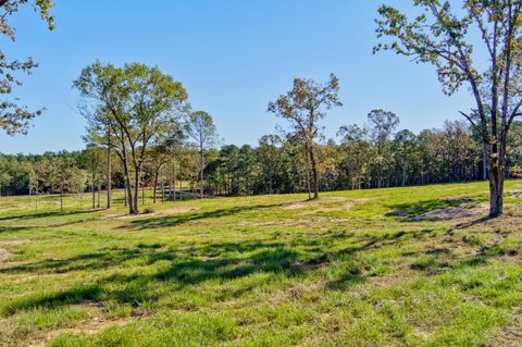 Tiny photo for 793 Flowing Well Road, Wagener, SC 29164 (MLS # 220034)