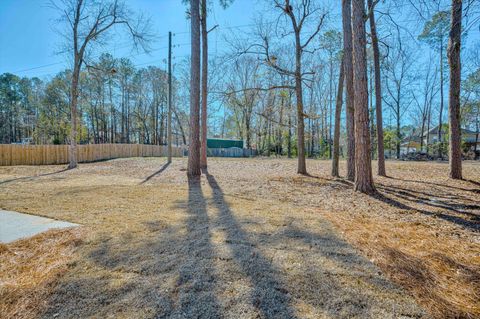 Tiny photo for 316 Saint Julian Place, North Augusta, SC 29860 (MLS # 221882)