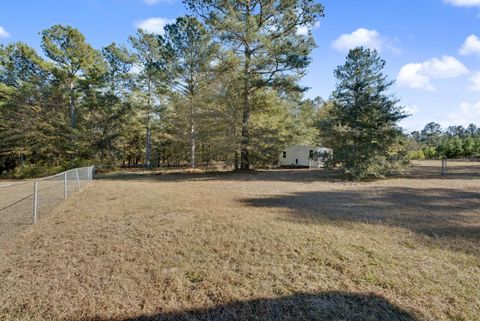 Tiny photo for 166 Cooper Pond Road, Salley, SC 29137 (MLS # 220577)