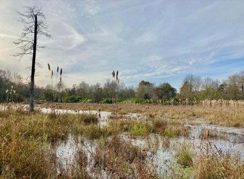 Unimproved Land in Beech Island SC 0 Bay Street.jpg