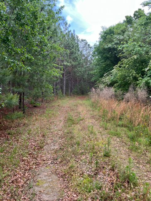 Tiny photo for 5924 Wagener Road, Wagener, SC 29164 (MLS # 216998)