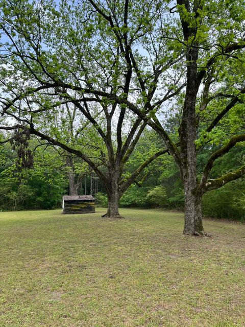 Tiny photo for 5924 Wagener Road, Wagener, SC 29164 (MLS # 216998)