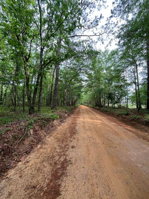 Tiny photo for 5924 Wagener Road, Wagener, SC 29164 (MLS # 216998)