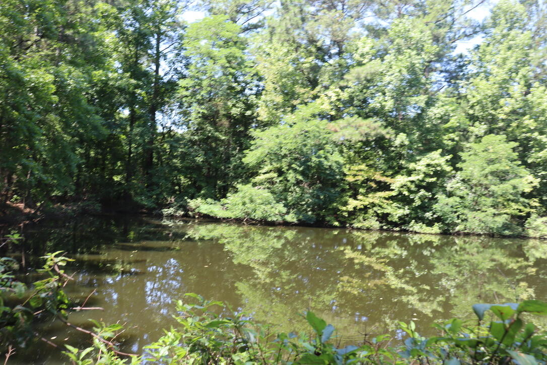 Lot A Camp Creek Drive