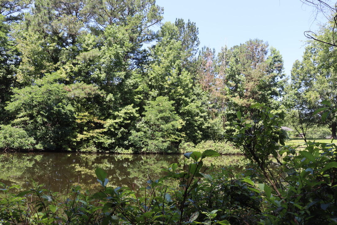Lot A Camp Creek Drive
