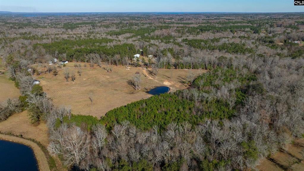 0 Cedar Grove Road, Batesburg-Leesville, SC, 29006 0 Cedar Grove Road