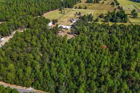 Tiny photo for 571 Oak Ridge Club Road, Windsor, SC 29856 (MLS # 219520)