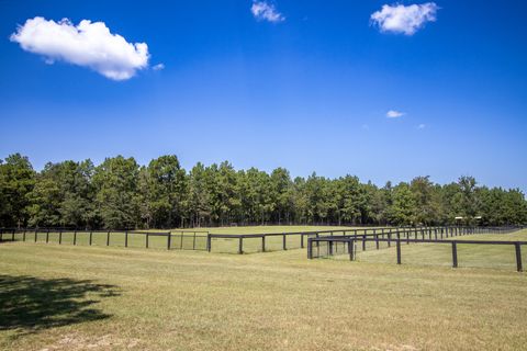 Tiny photo for 571 Oak Ridge Club Road, Windsor, SC 29856 (MLS # 219520)