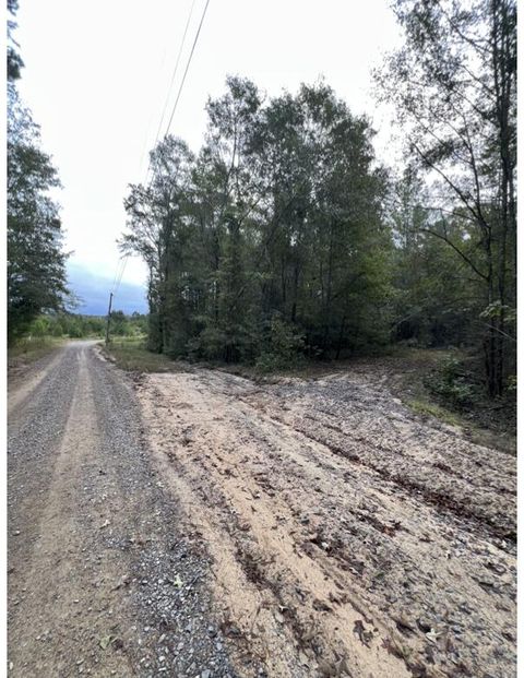 Photo of 151 Latitude Road, Batesburg-Leesville, SC 29006 (MLS # 219982)