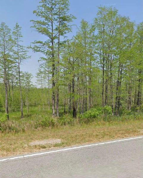 Photo of 11430 Main Highway, Olar, SC 29843 (MLS # 224073)