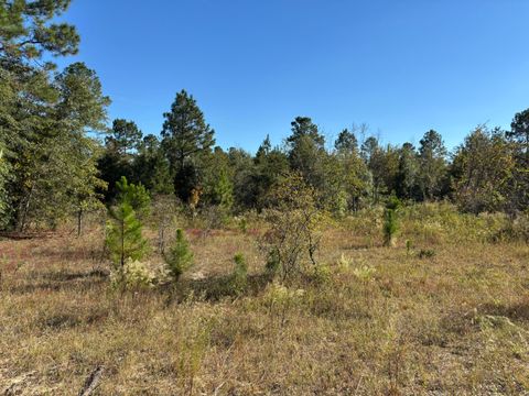 Photo of Tbd Pearl Bonnett, Windsor, SC 29856 (MLS # 220041)
