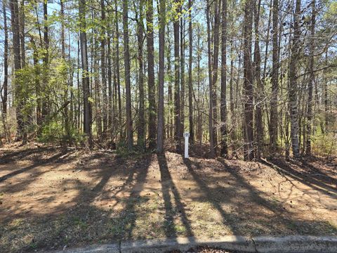 Photo of N-27b Saluda Court, North Augusta, SC 29860 (MLS # 222321)