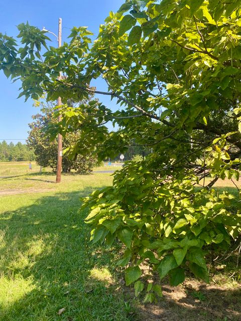 Tiny photo for 1028 New Holland Road, Aiken, SC 29805 (MLS # 219362)