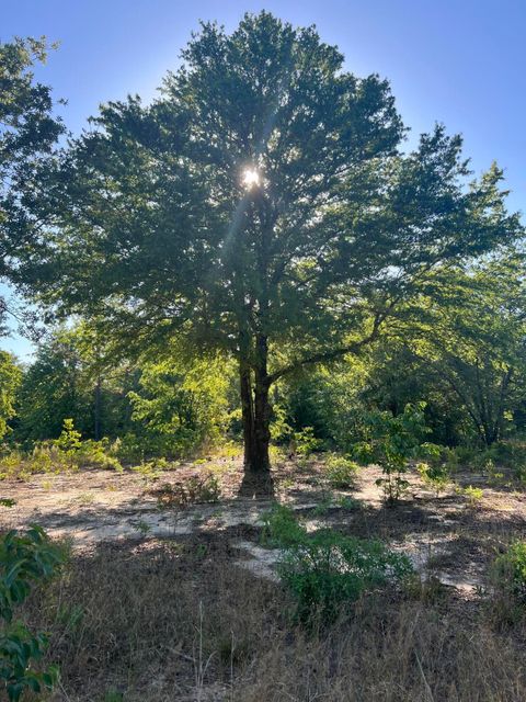 Photo of 00 Pearl Bonnet Road, Windsor, SC 29856 (MLS # 222310)