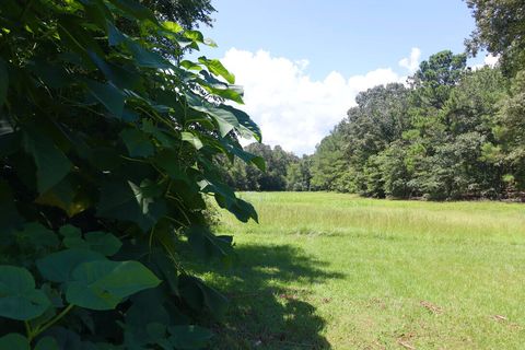 Tiny photo for 30 Sharon Road, Wagener, SC 29164 (MLS # 218777)