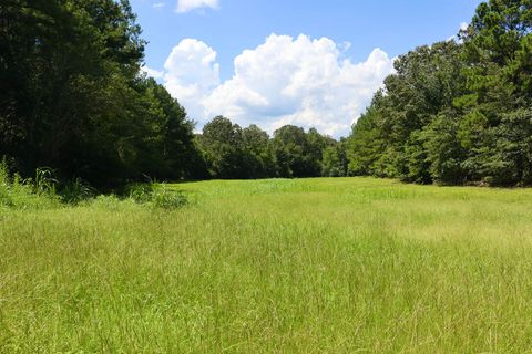 Tiny photo for 30 Sharon Road, Wagener, SC 29164 (MLS # 218777)