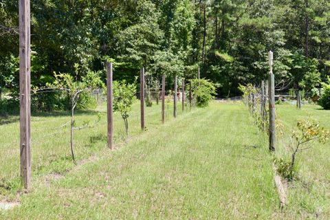 Tiny photo for 30 Sharon Road, Wagener, SC 29164 (MLS # 218777)