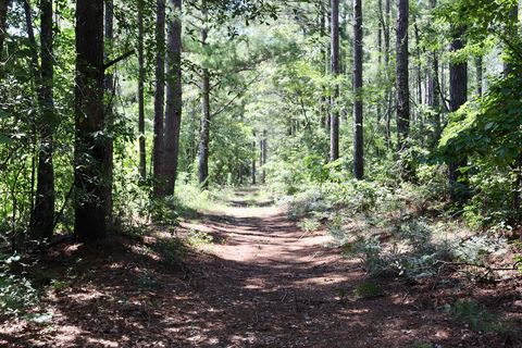 Tiny photo for 30 Sharon Road, Wagener, SC 29164 (MLS # 218777)