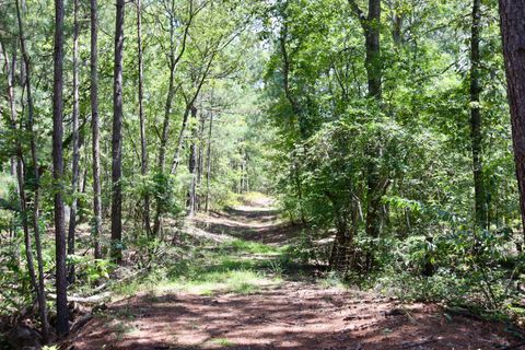 Tiny photo for 30 Sharon Road, Wagener, SC 29164 (MLS # 218777)