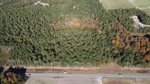 Photo of 00 Old Charleston Road, Pelion, SC 29123 (MLS # 220330)