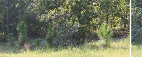 Property photo of Tbd Callaway Drive, Graniteville, SC 29829