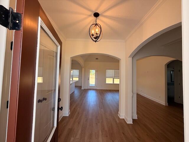 459 Basalt Court
