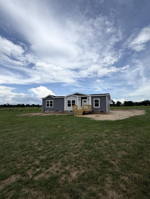 Photo of 3168 New Holland Road, Wagener, SC 29164 (MLS # 223538)